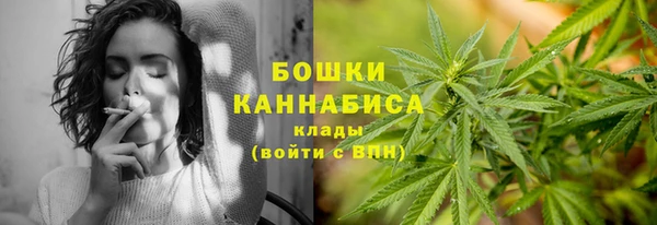 прущие грибы Куйбышев