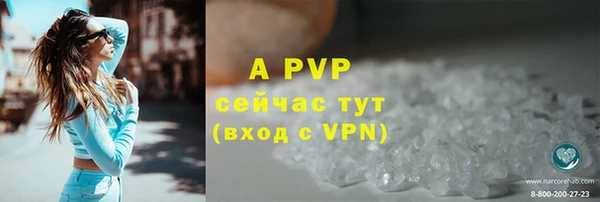 прущие грибы Куйбышев