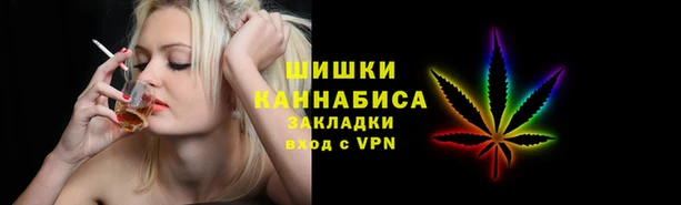 прущие грибы Куйбышев