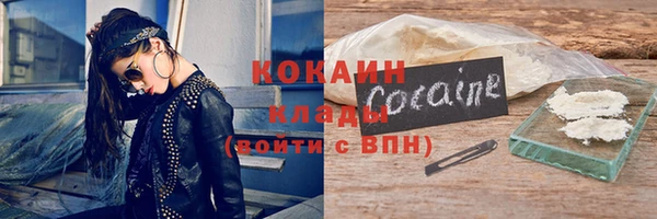 прущие грибы Куйбышев